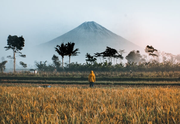 Kontribusi Kami untuk Indonesia
